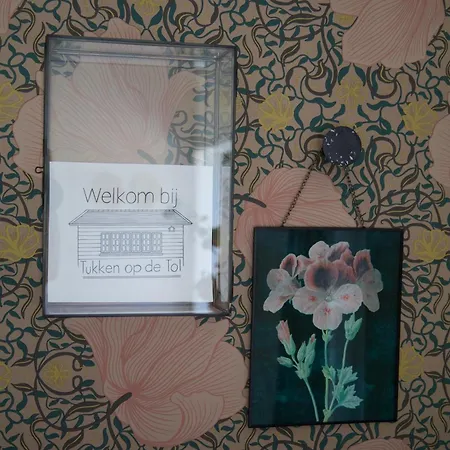 Tukken Op De Tol בית הארחה Velp (Noord-Brabant)